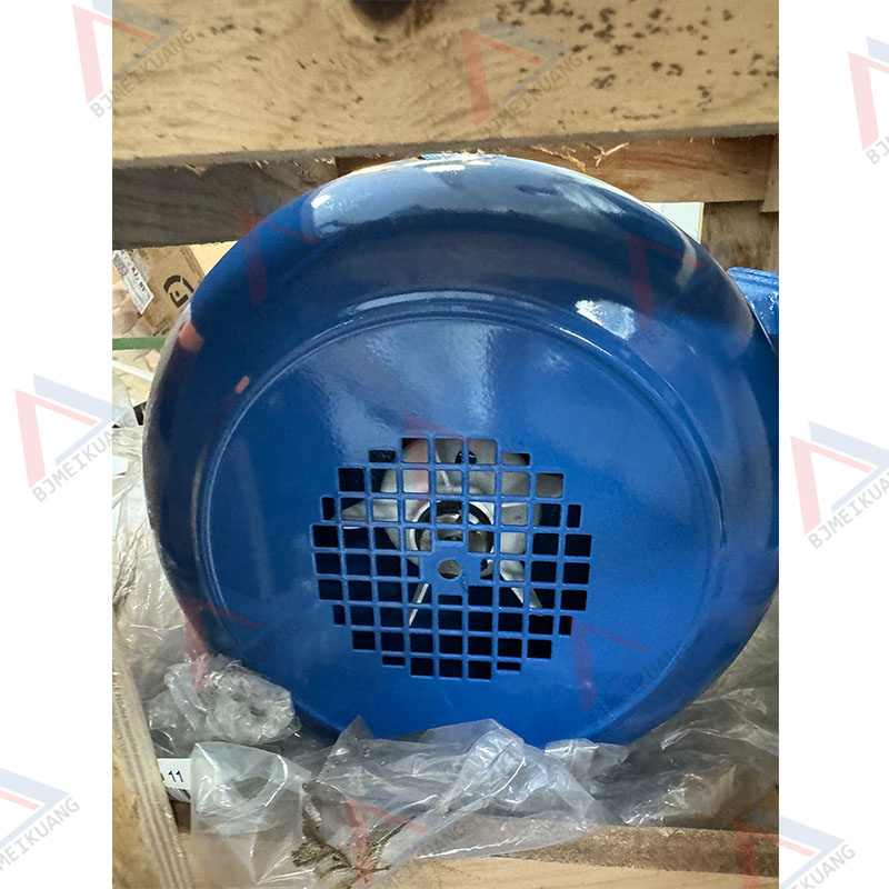 MK-17-107-602-045 | Lubricating pump motor