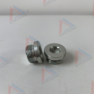 MK-900.0981-00 | Plug hexagon