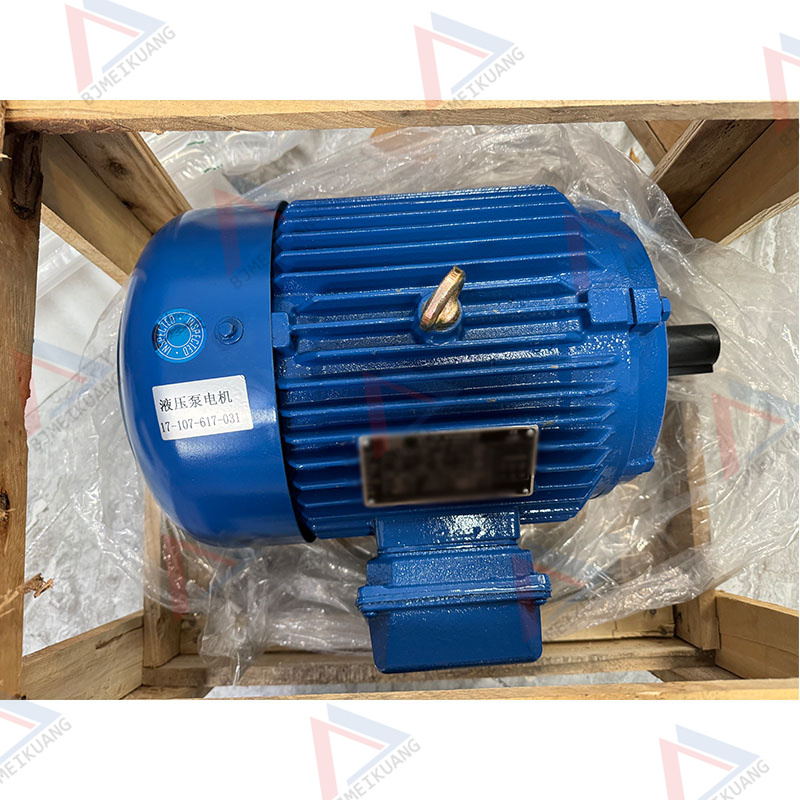 MK-17-107-617-031 | Hydraulic pump motor