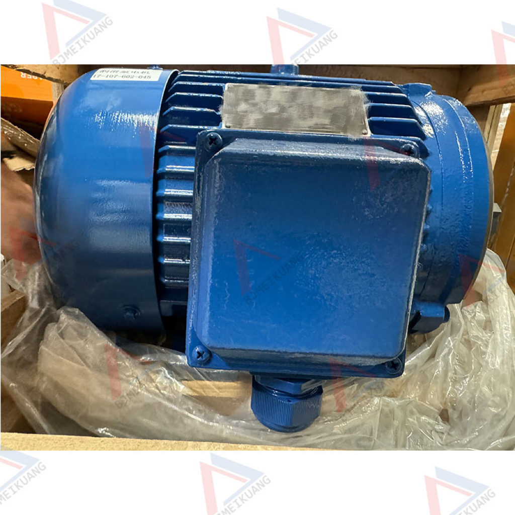MK-17-107-602-045 | Lubricating pump motor