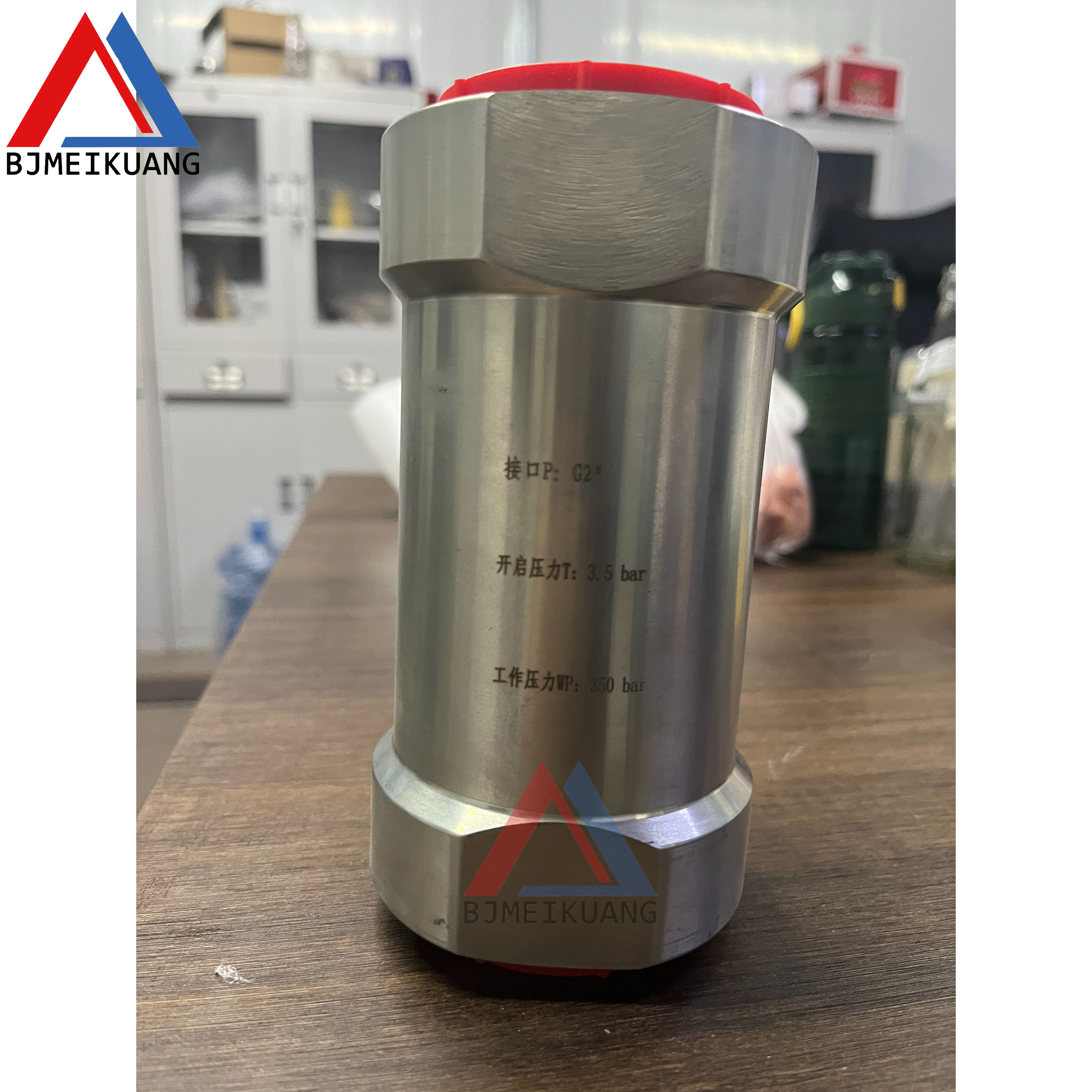 MK-MM0431632 | CHECK VALVE